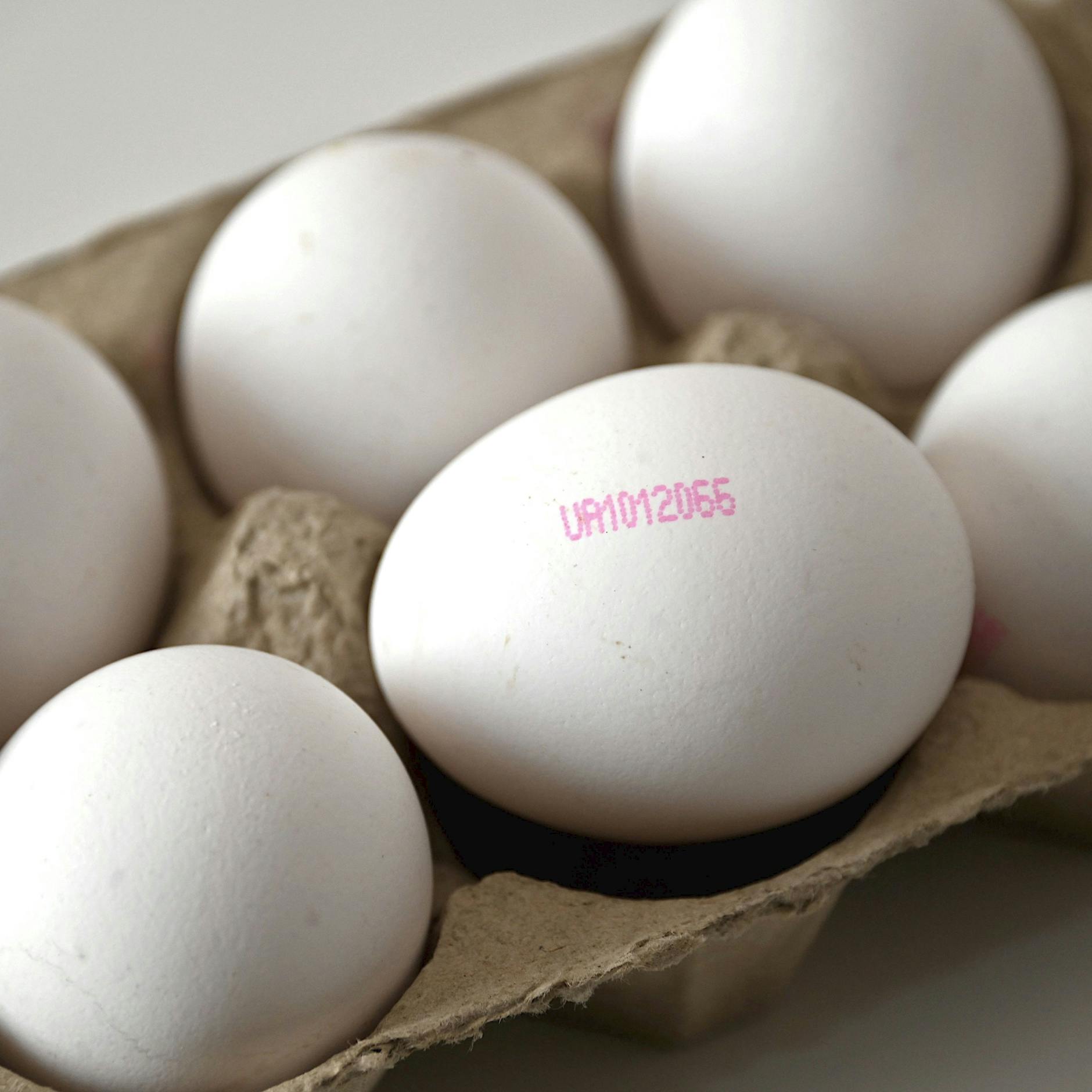 Image - Auf der Spur der falsch etikettierten Eier aus der Ukraine