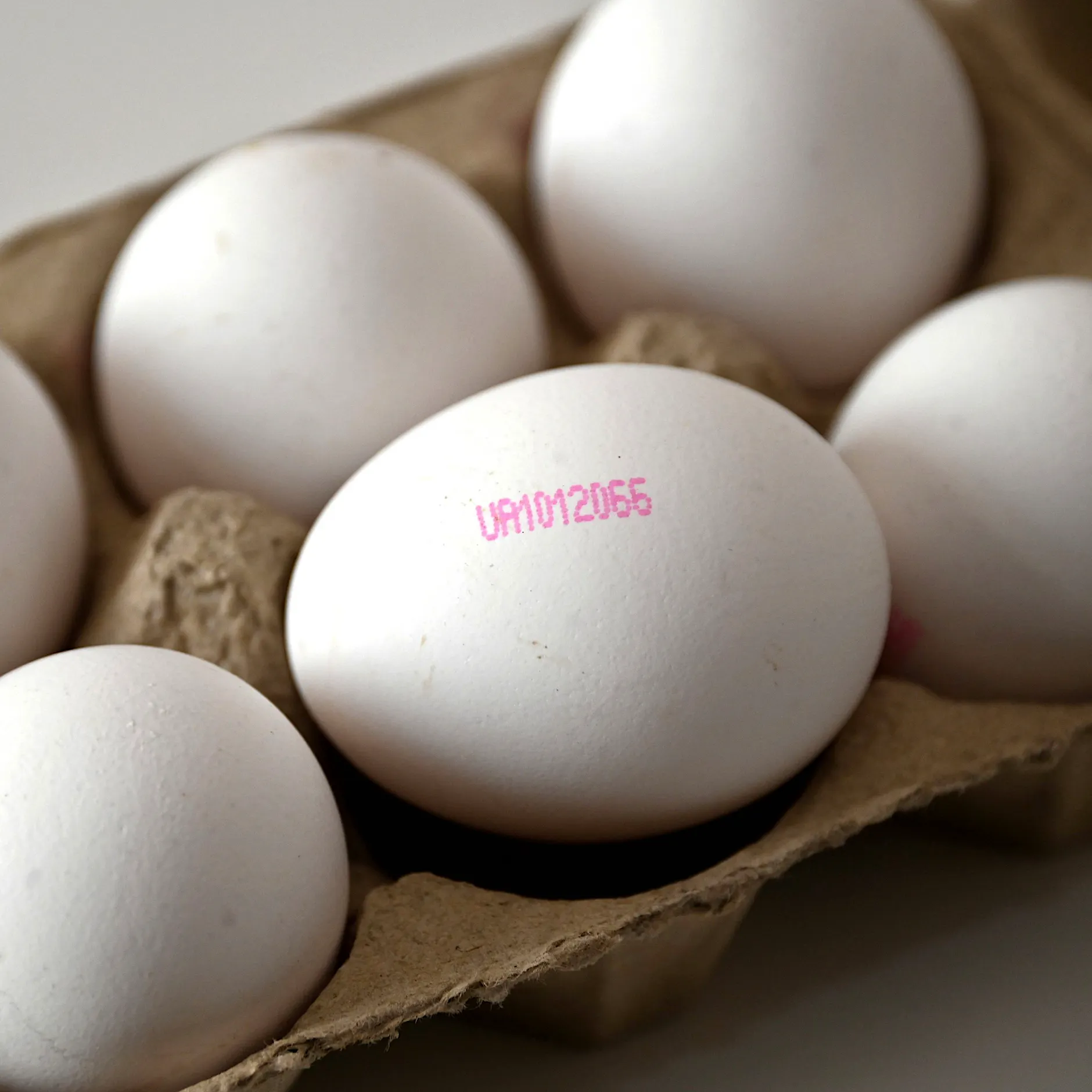 Antibiotika-Funde und Bio-Tricks: Streit um Eier aus Ukraine