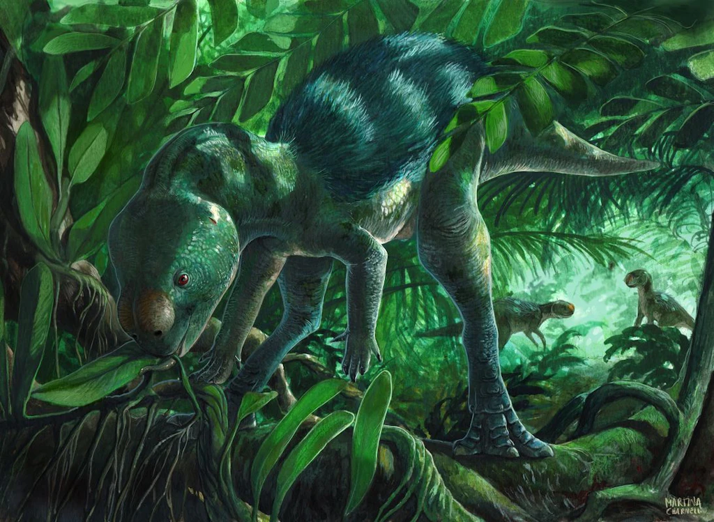 Forscher entdecken Mini-Dinosaurier in spanischer Provinz