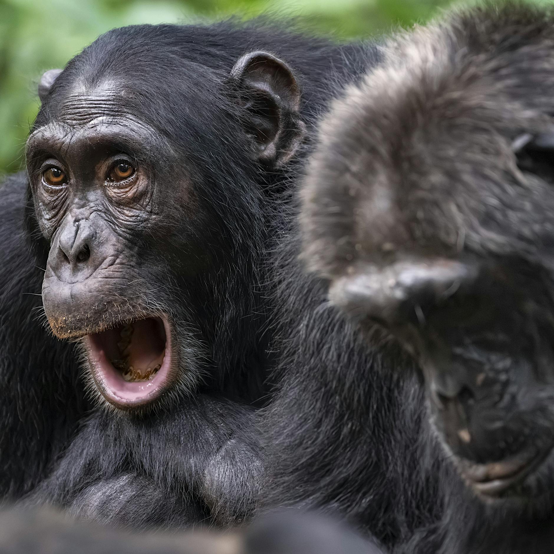 Bier bringt's: Lasst uns endlich auch über die Vorteile von Alkohol reden!