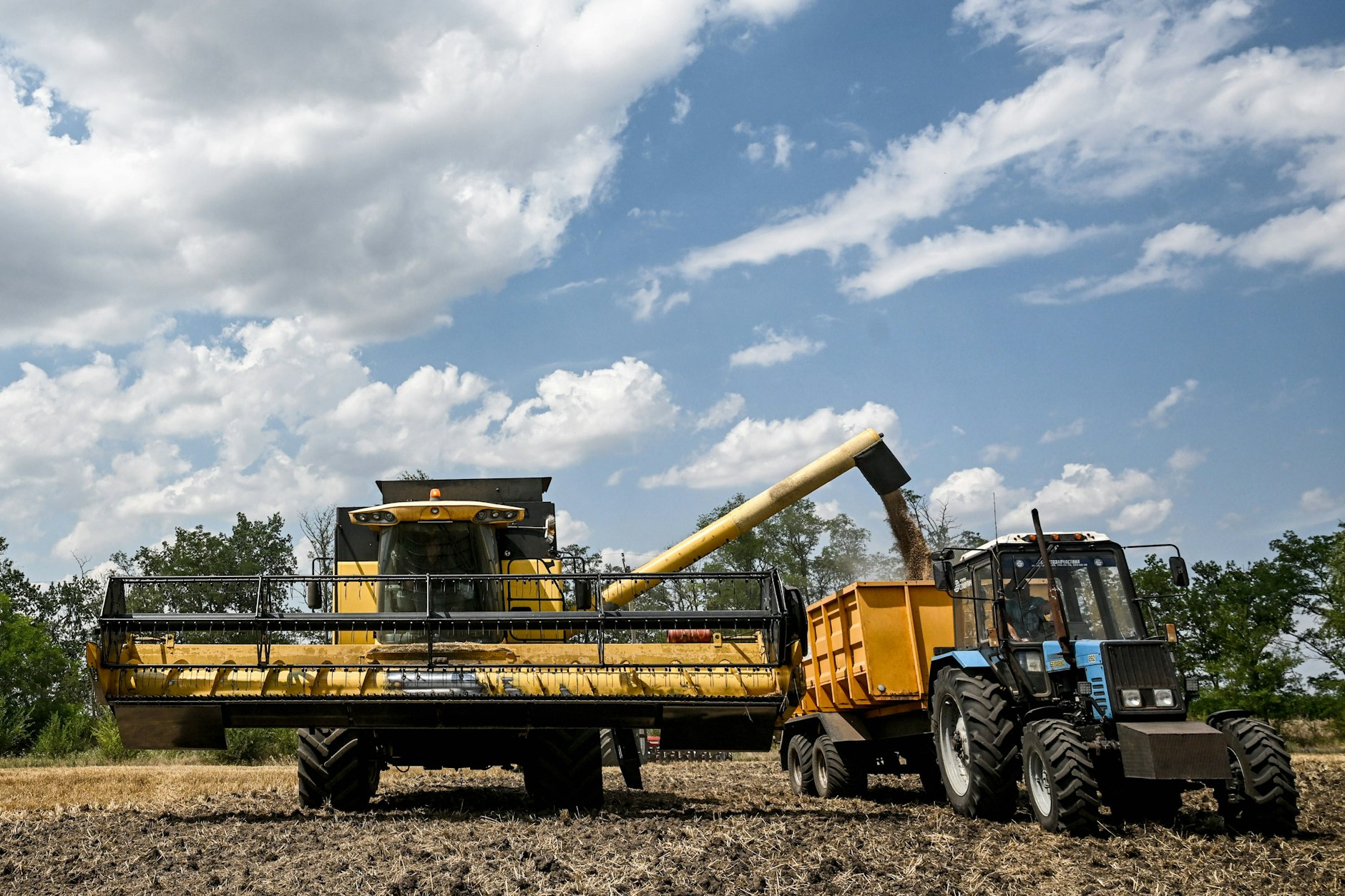 Immer mehr Getreide wird in der Ukraine für die EU angebaut.