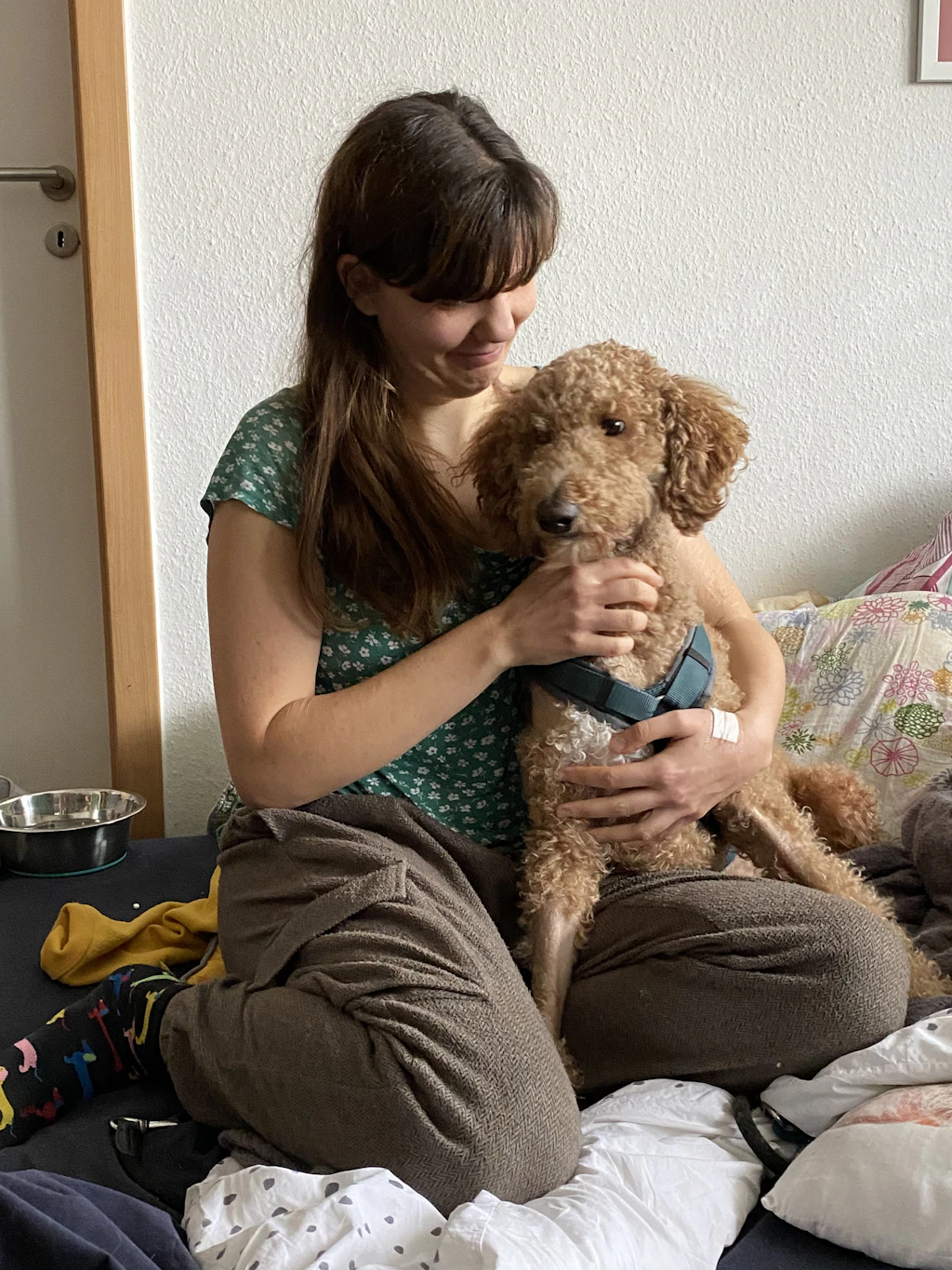 Blutspenden retten sein Leben: Assistenzhund Lupin aus Eberswalde ist schwer krank