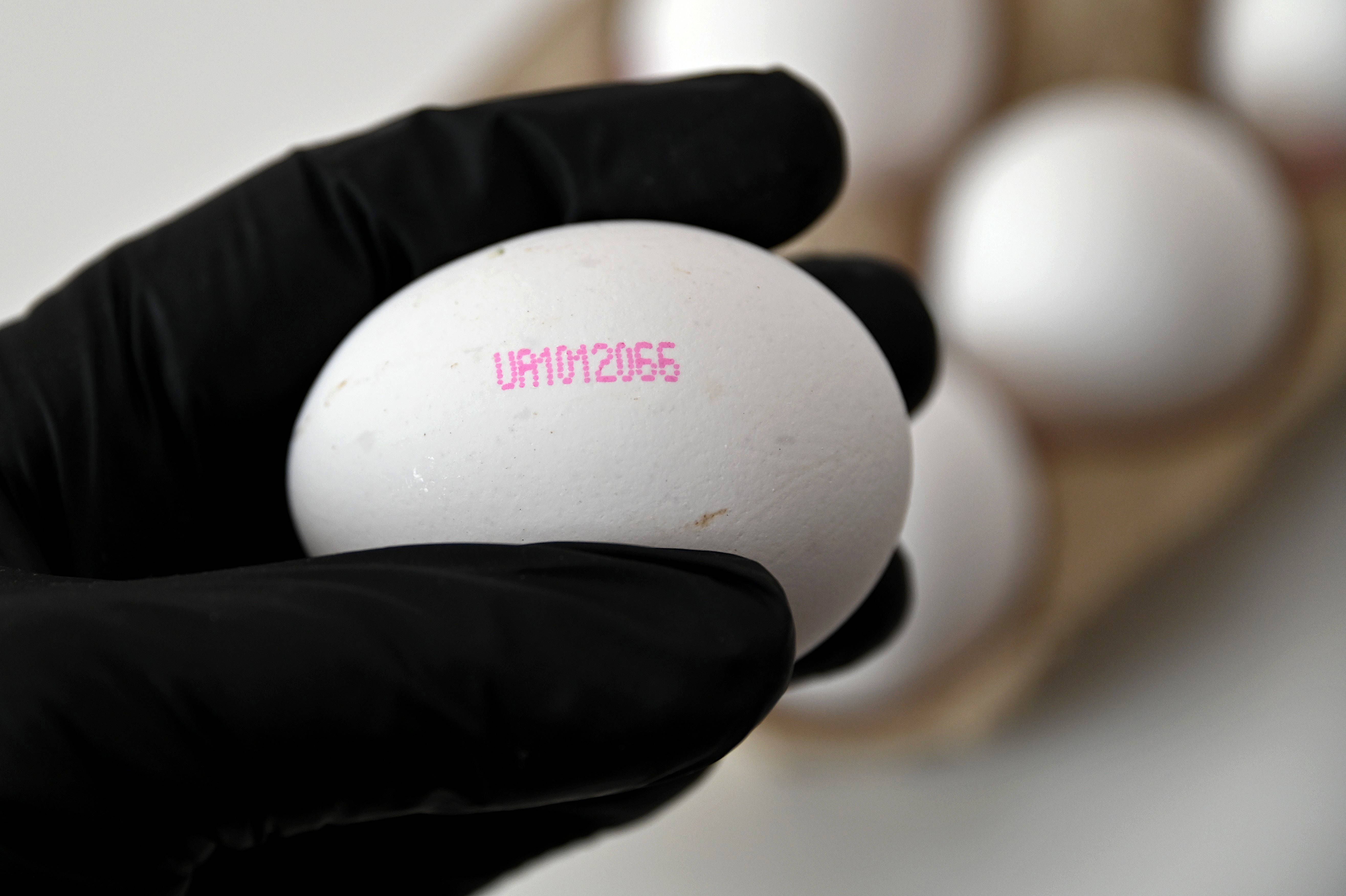 Wie ich Billig-Eier aus der Ukraine erkenne, die jetzt die EU fluten