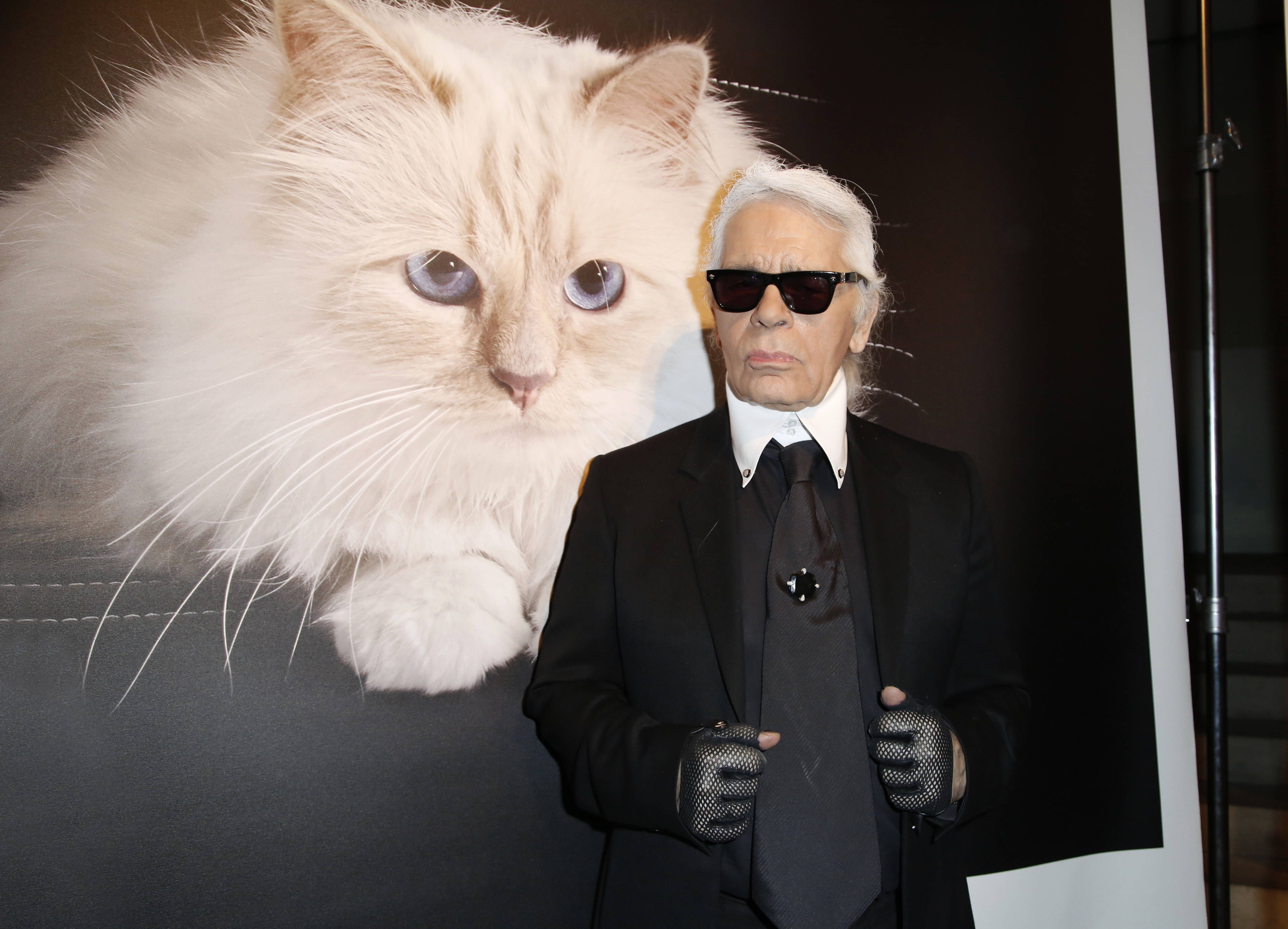 Erbstreit um Karl Lagerfelds Geld – nur seine Katze hat ausgesorgt