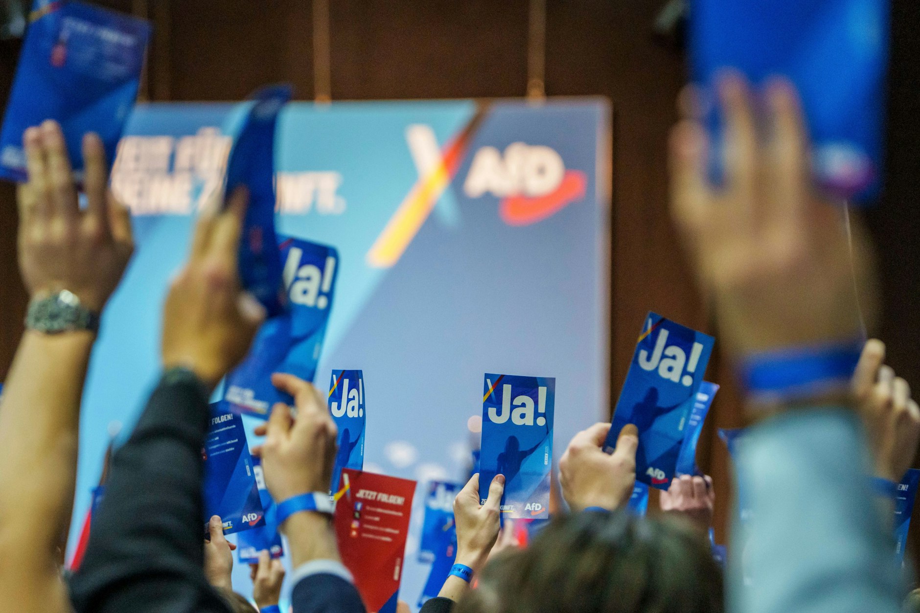 Nach einer viel kritisierten Rede soll Alexander Eichwald von der AfD ausgeschlossen werden.