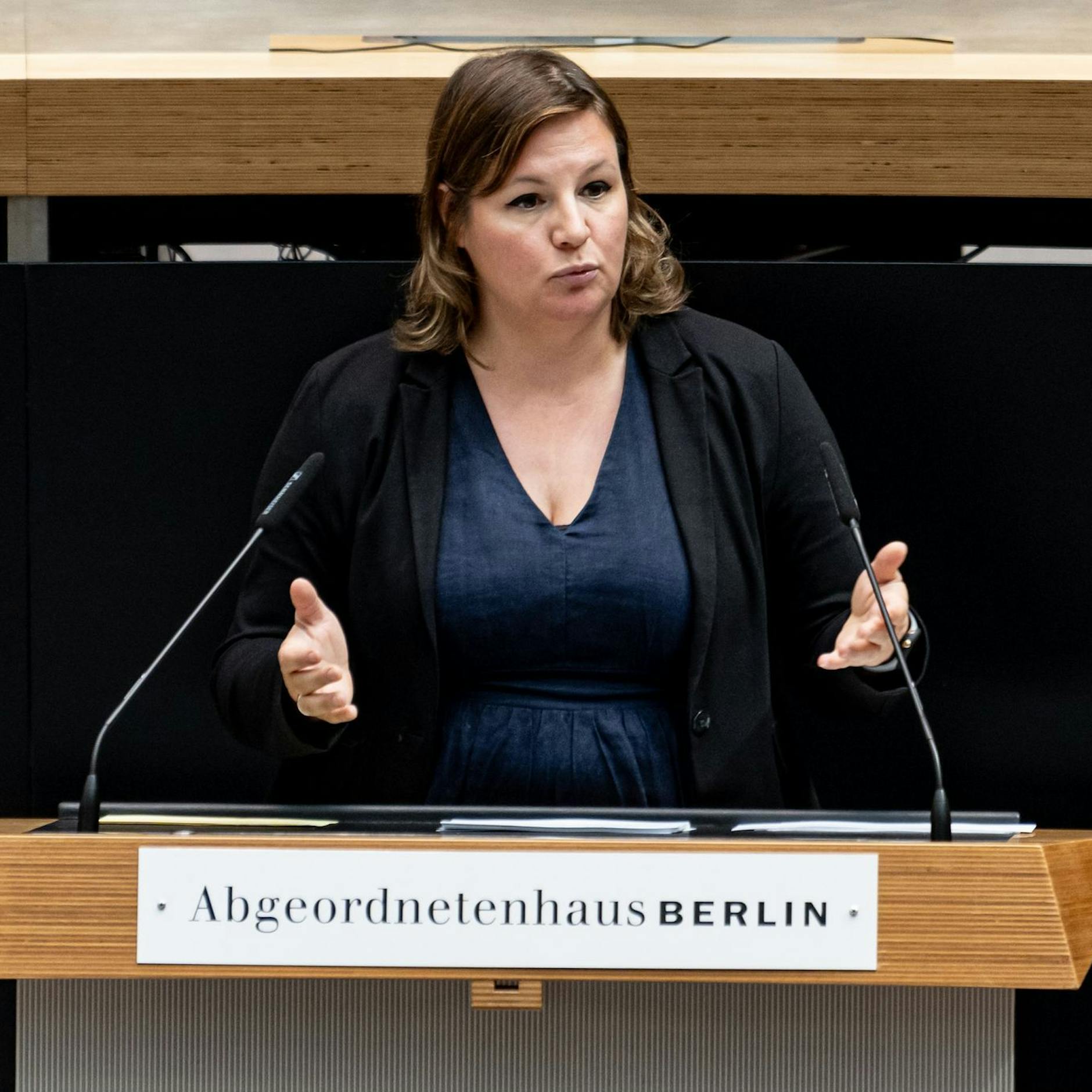 Image - Gehwege zuerst räumen, fordert Grünen-Politikerin