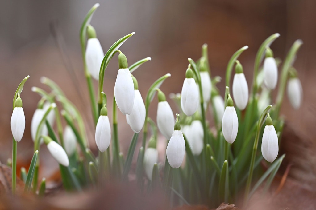 Berlin taut auf: Temperaturen steigen auf bis zu 9 Grad