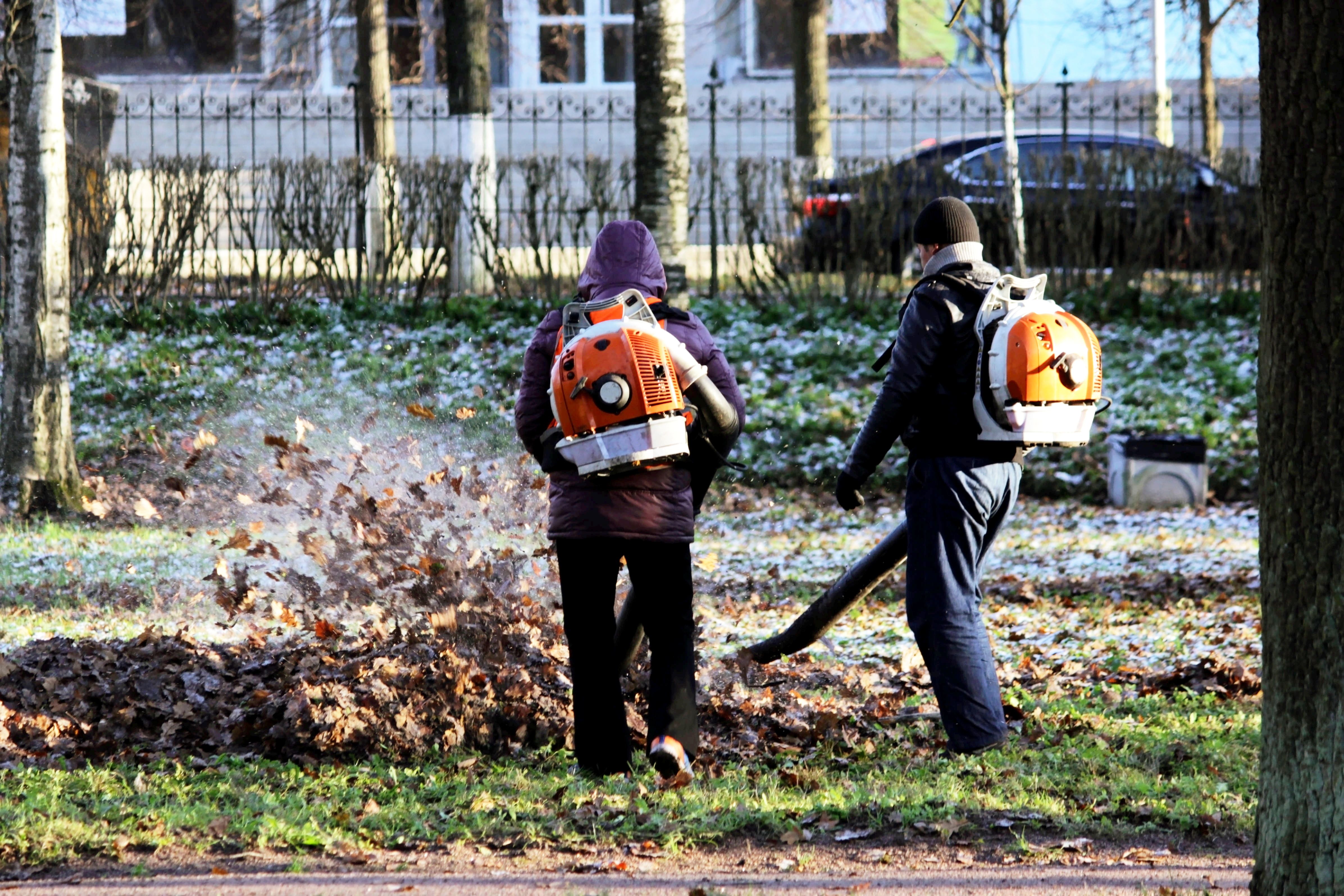 Sachsen-Anhalts Ministerpräsident fordert Arbeitspflicht für Bürgergeldempfänger