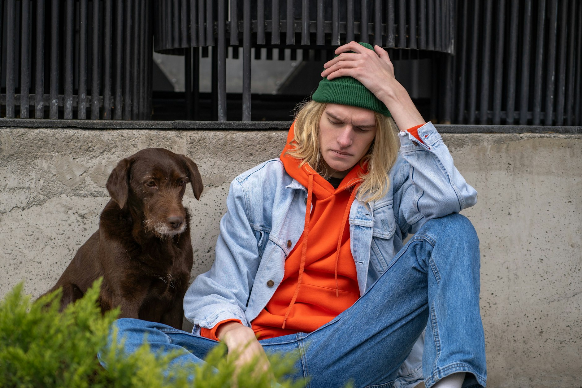 Tierschutz wird in Berlin nicht überall großgeschrieben. (Symbolbild)