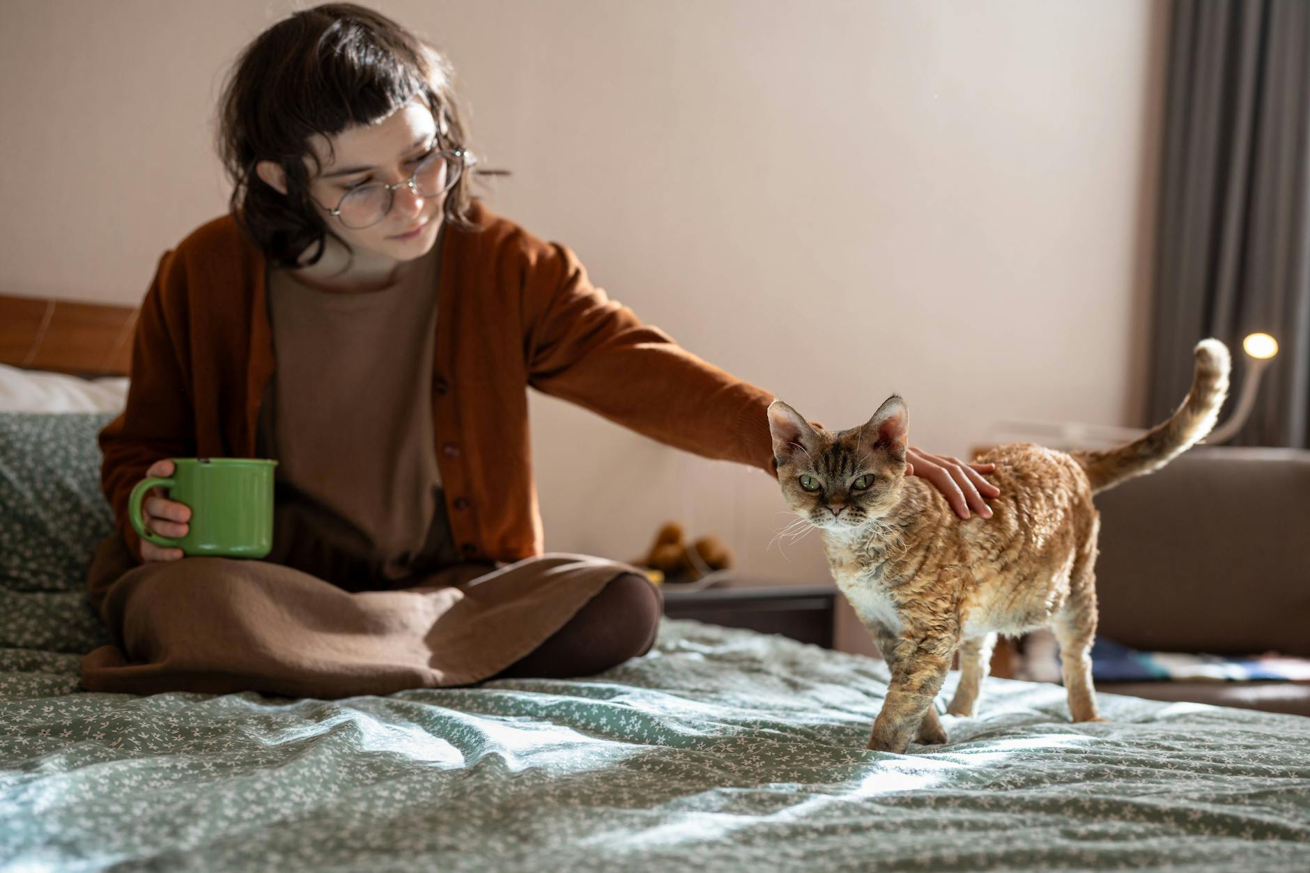 Tempelhof-Schöneberg wird von PETA für seinen Tierschutz gelobt. (Symbolbild)