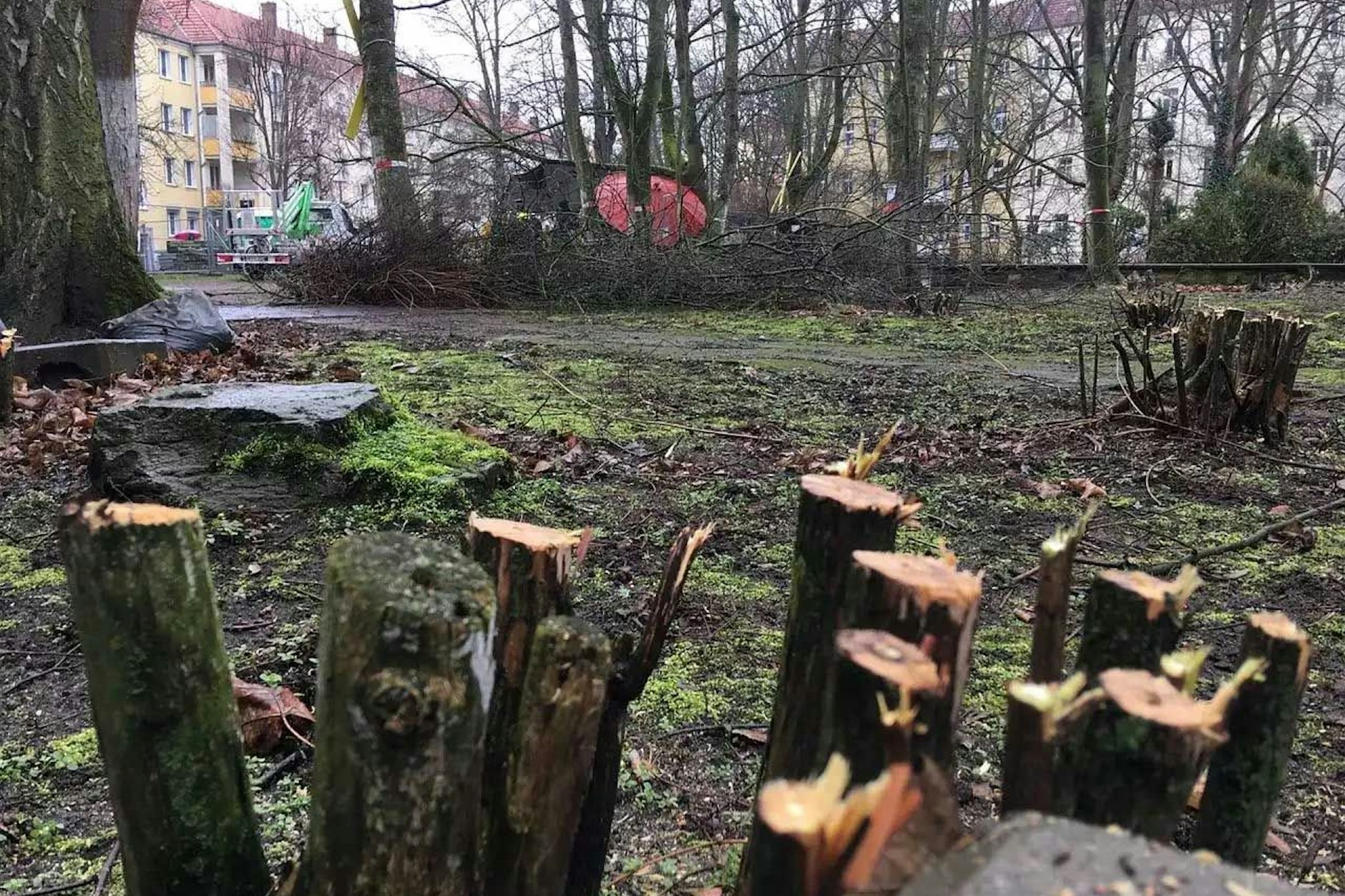 Seit Jahren gibt es Streit um die Bebauung zweier Höfe, Bürger pochen auf ein verträgliches Maß und mehr Grünerhalt.