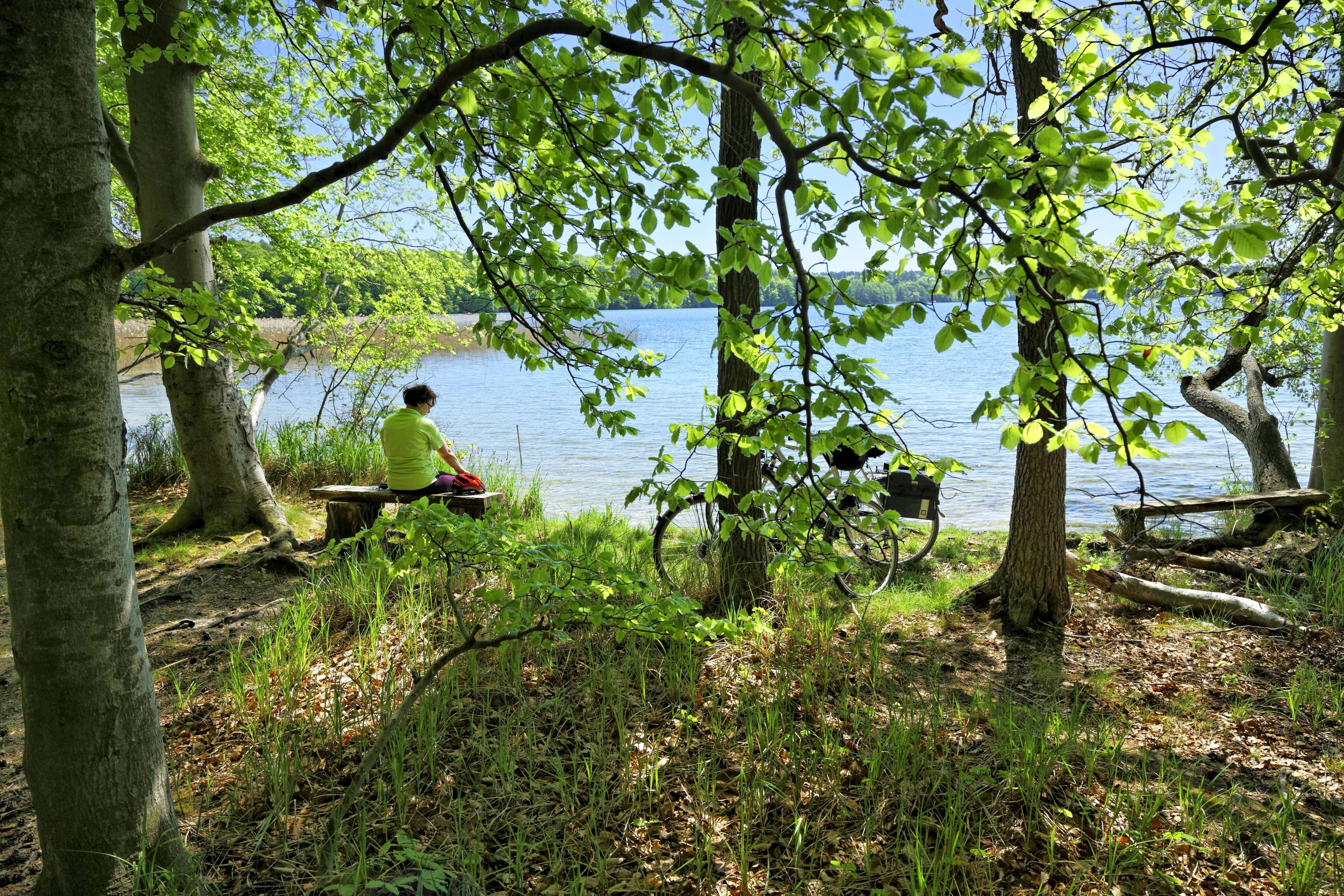 Neue B96 zerschneidet Naturpark bei Berlin: „Selbstverständlich wird es Klagen geben“