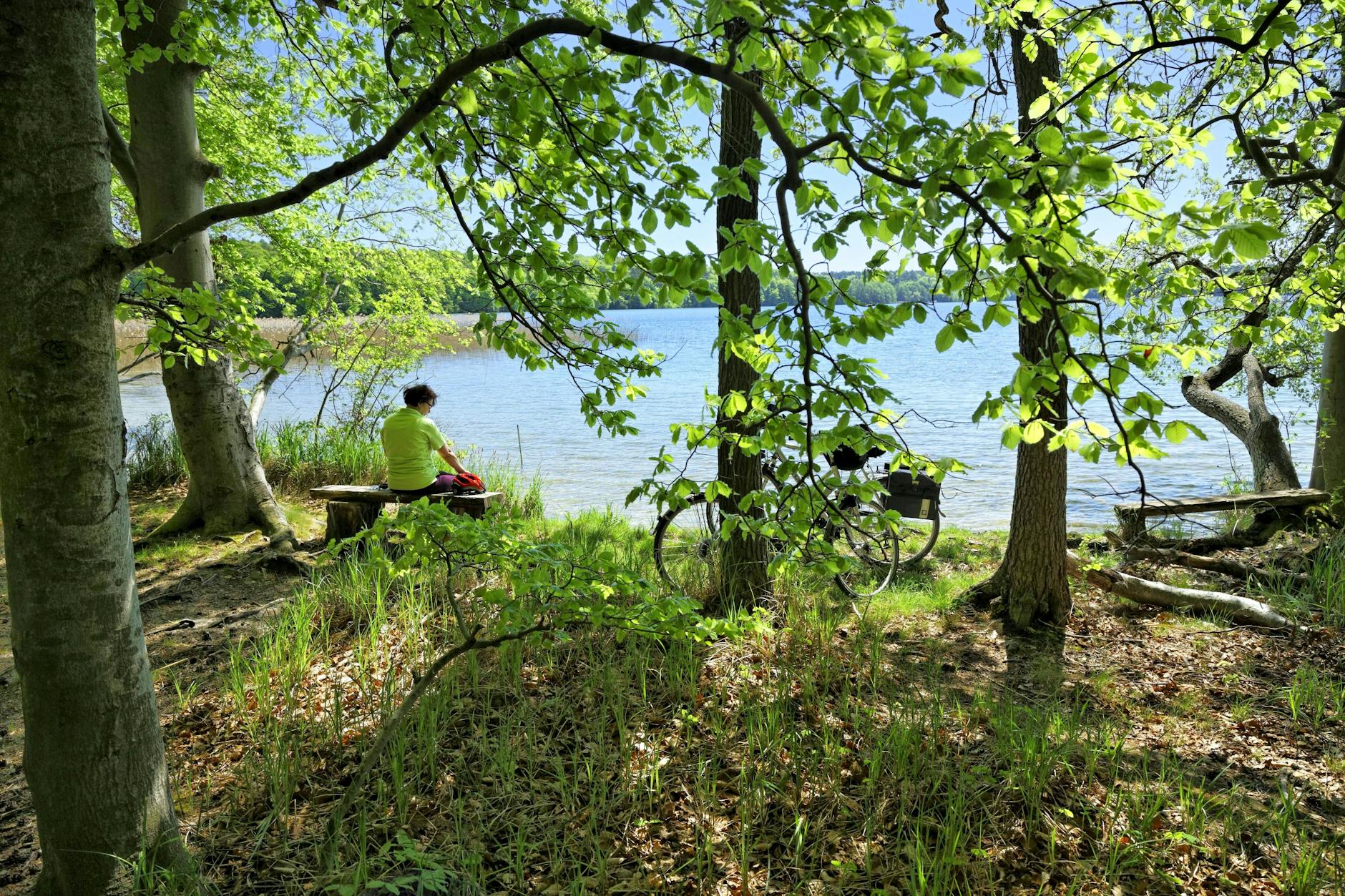 Der Große Stechlinsee ist das Herzstück des Naturparks Stechlin-Ruppiner Land. Im Osten des Gebiets soll die Umgehungsstraße verlaufen.