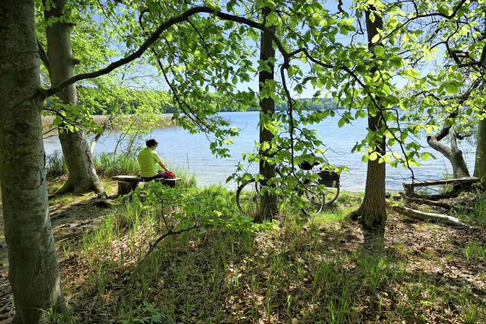 Neue B96 zerschneidet Naturpark bei Berlin: „Selbstverständlich wird es Klagen geben“
