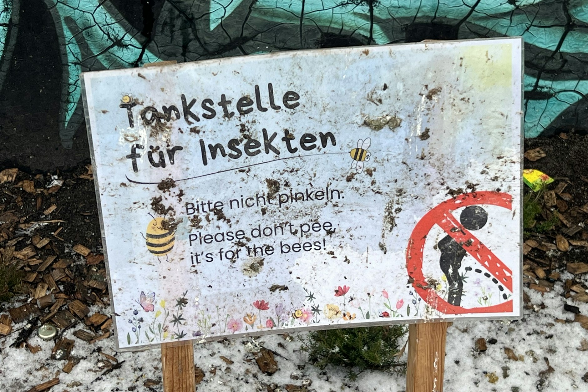 In der Nähe des Zeltlagers steht diese Insekten-Tankstelle. Kehren hier jemals Insekten zurück?