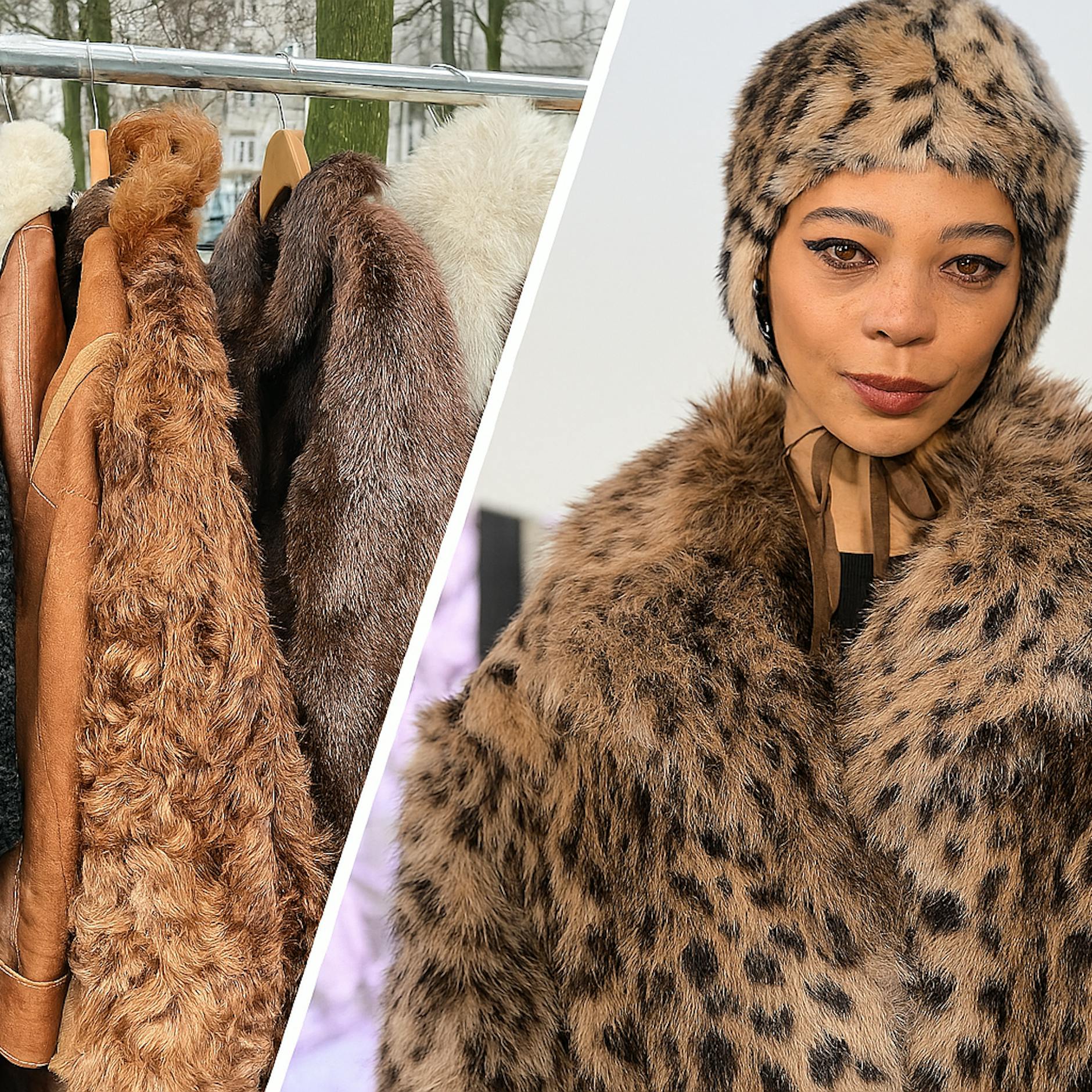 Image - Experte schlägt Alarm! Hundepelz auf Berliner Flohmärkten verkauft