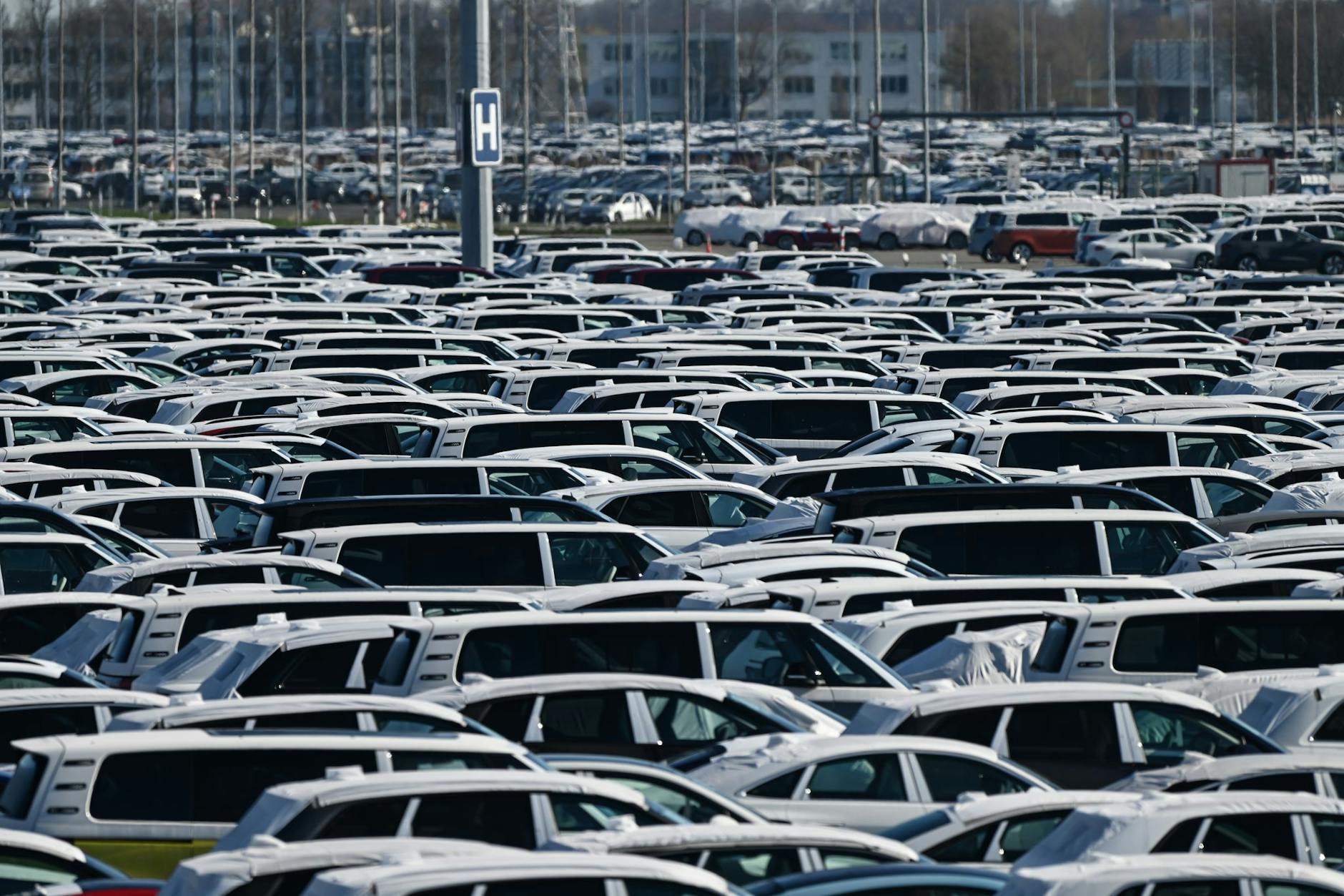 Zahlreiche Neuwagen der Marke Volkswagen