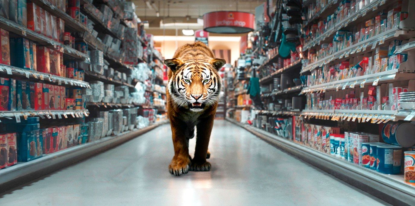 Julian Rosefeldt zerlegt in „Gone Astray“ die Mythenmaschine Kino