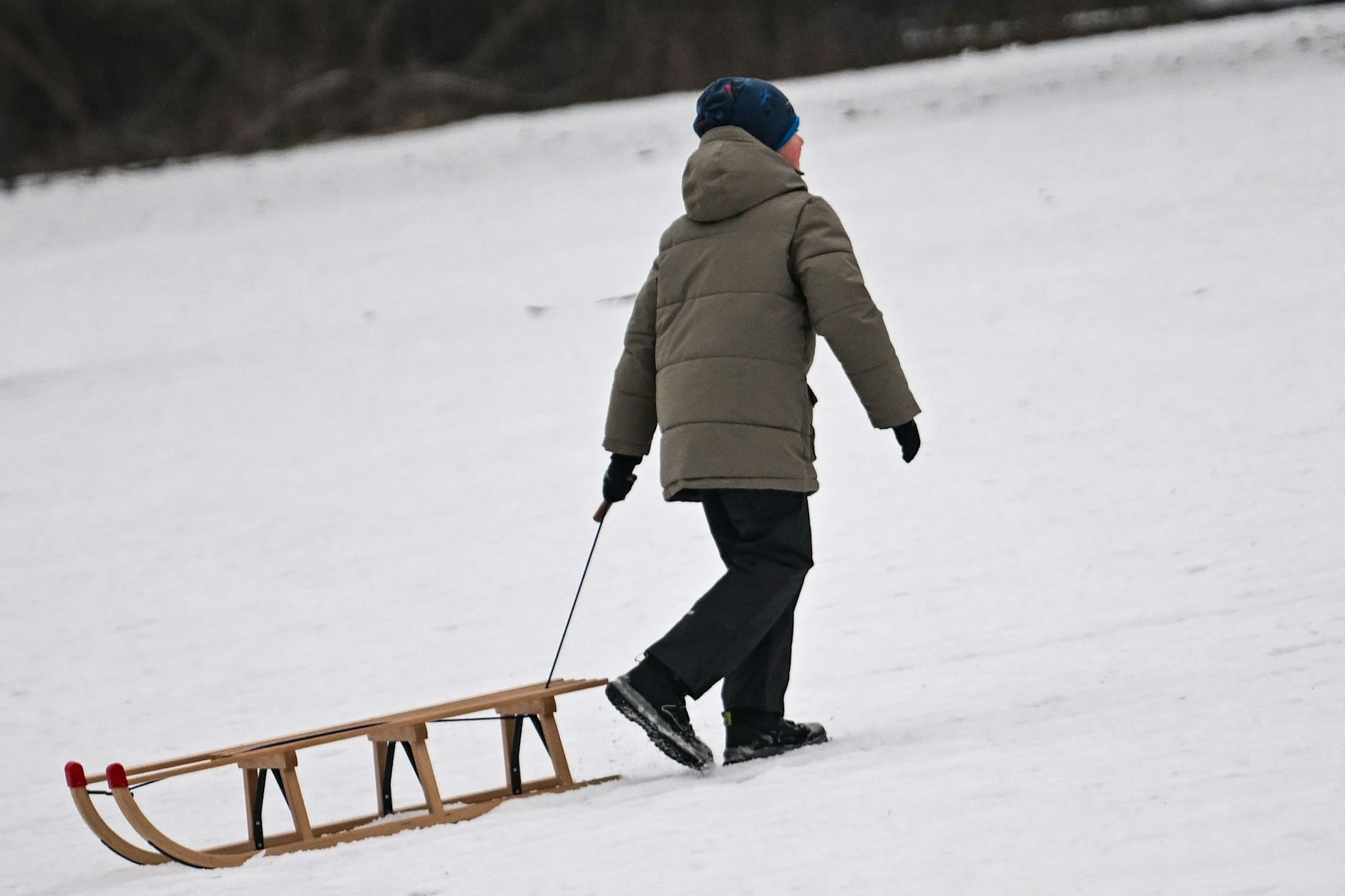 Der Winter könnte auch Berlin noch einmal erfreuen. Ob es allerdings für eine Runde auf dem Schlitten reicht, ist aktuell unklar.