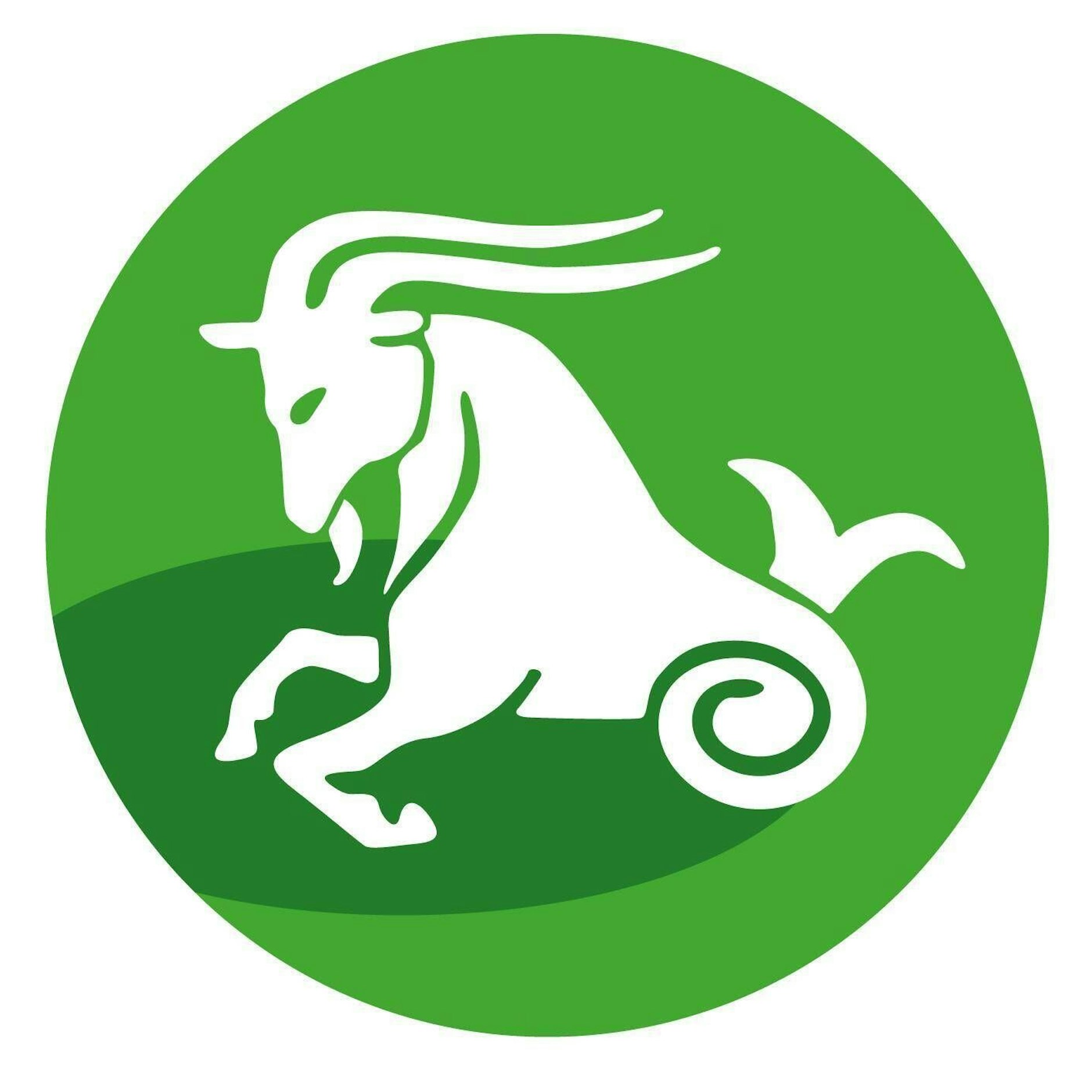 Steinbock (22. Dezember bis 20. Januar)