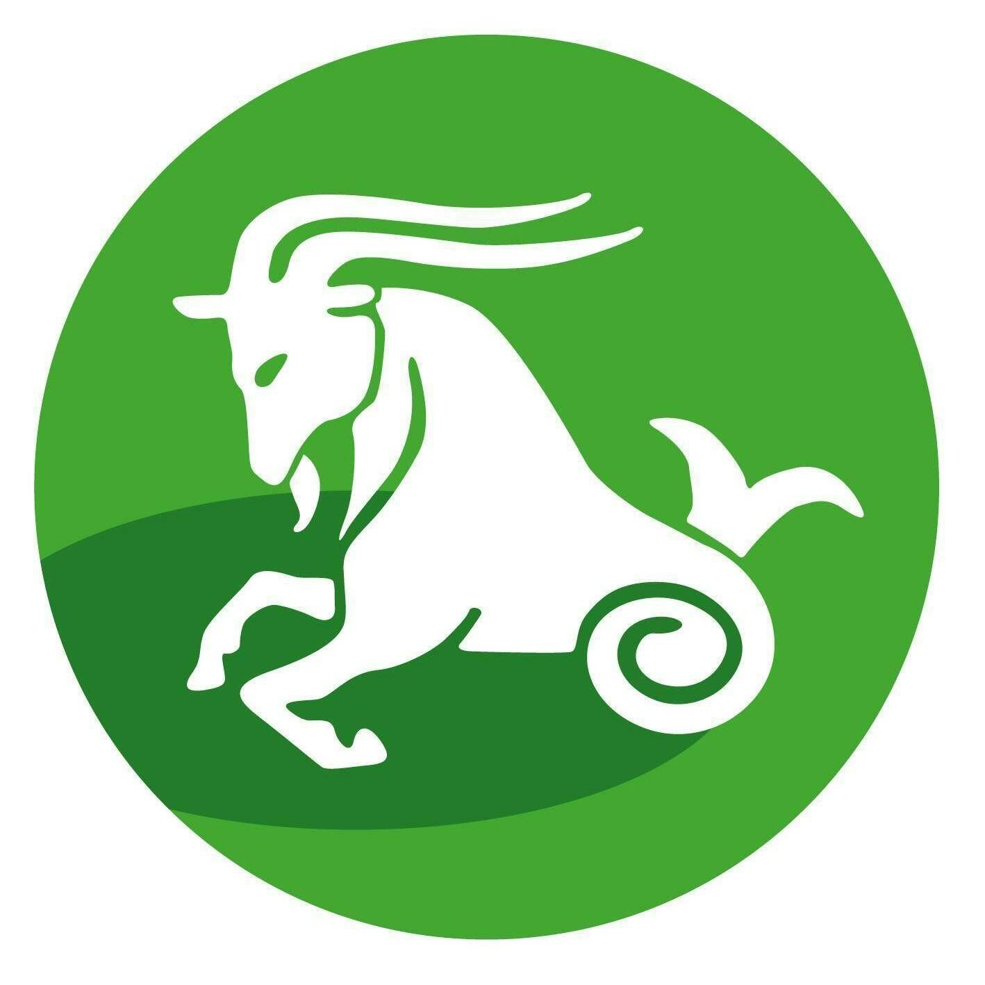 Steinbock (22. Dezember bis 20. Januar)