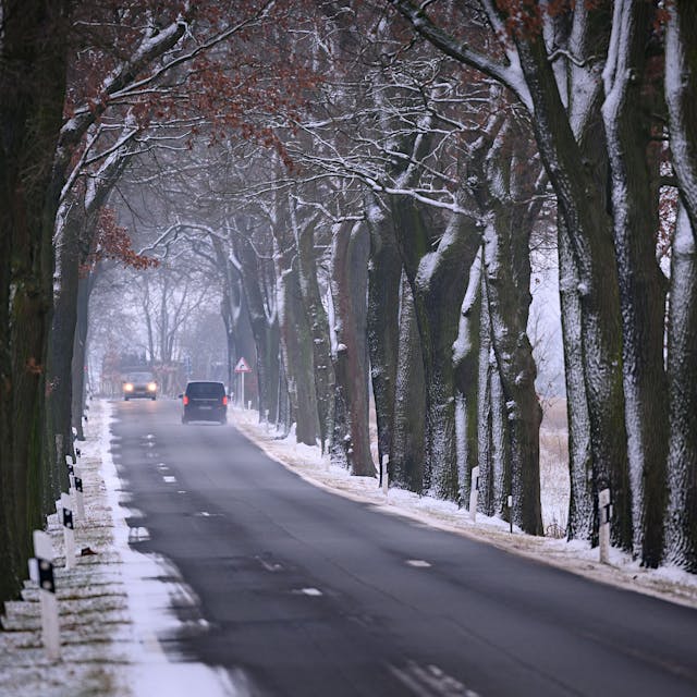 Warum uns der Frühling eiskalt erwischt