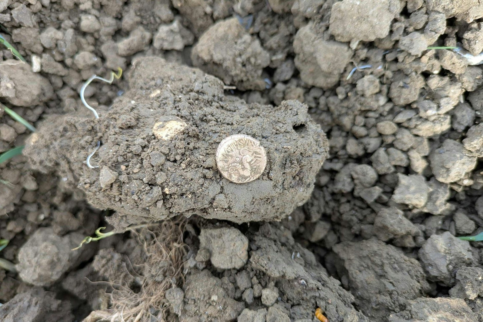 Das Gold lauert im Dreck: Auf einem Feld buddelte Tom Licence die besonders wertvollen Münzen aus.