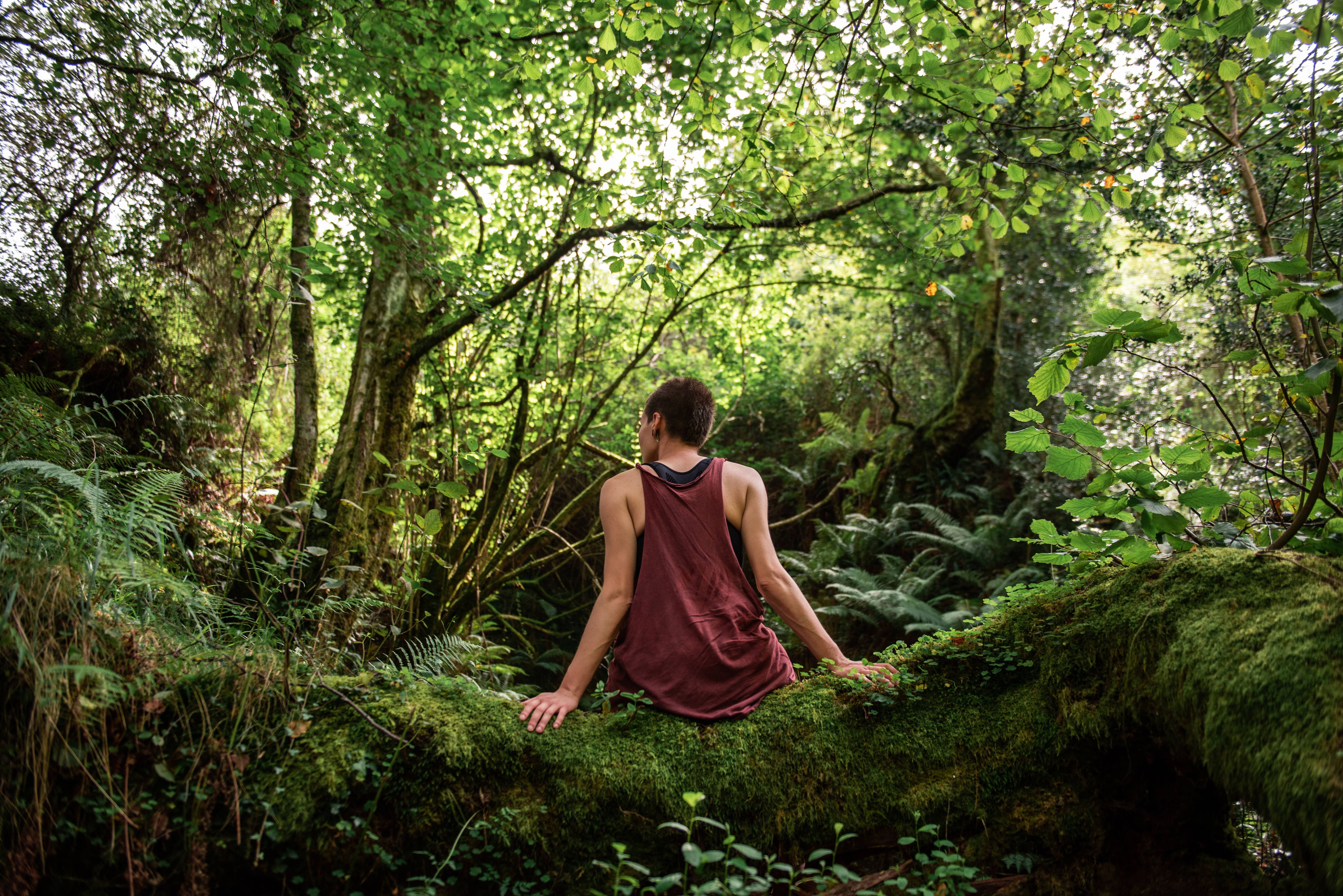 Angst vor der Natur: Die Biophobie greift weltweit um sich