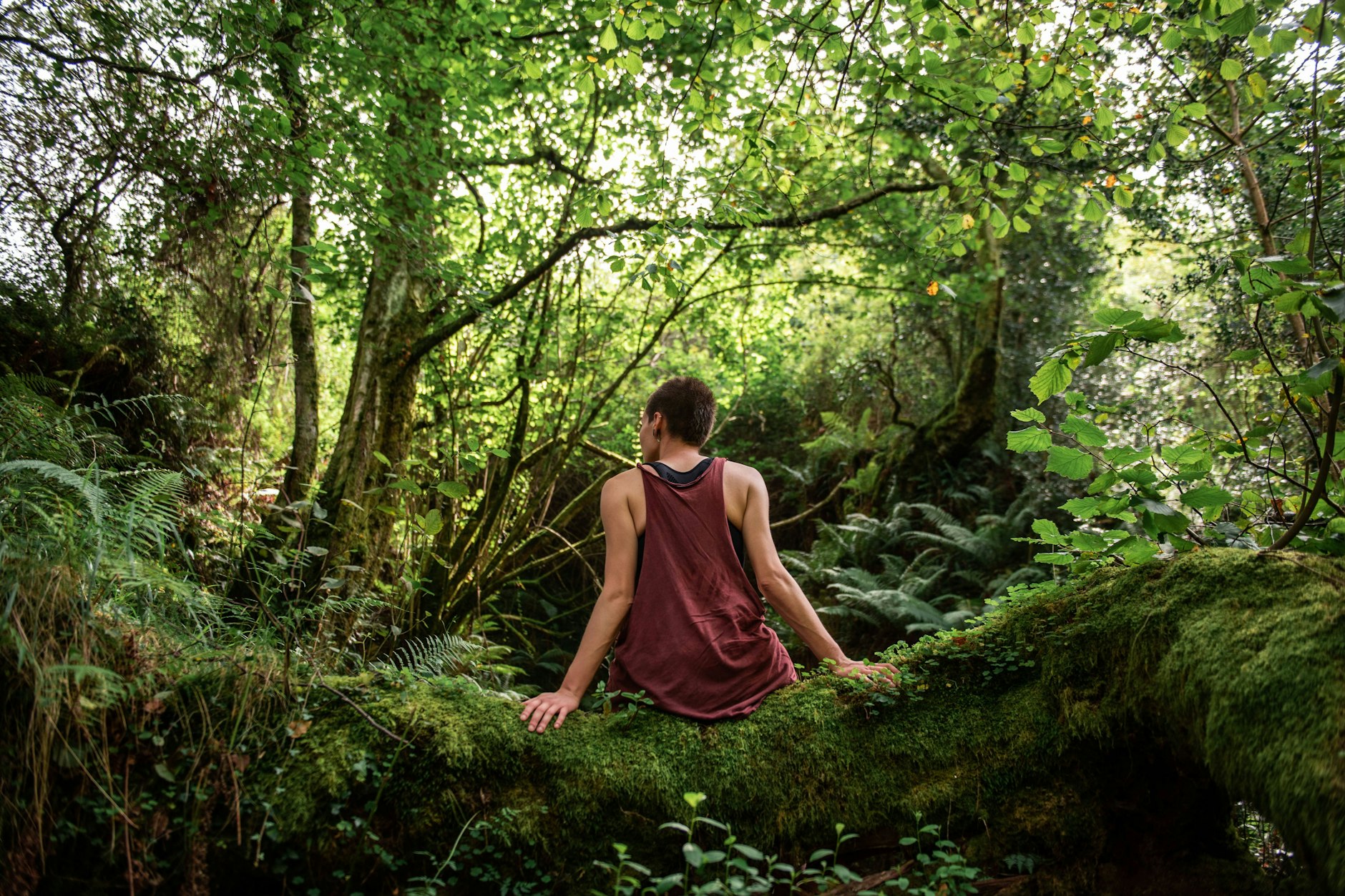 Man glaubt es kaum: Das Grün des Waldes, nach dem der Mensch sich generell zu sehnen scheint, erzeugt bei manchen Unbehagen und Angst.