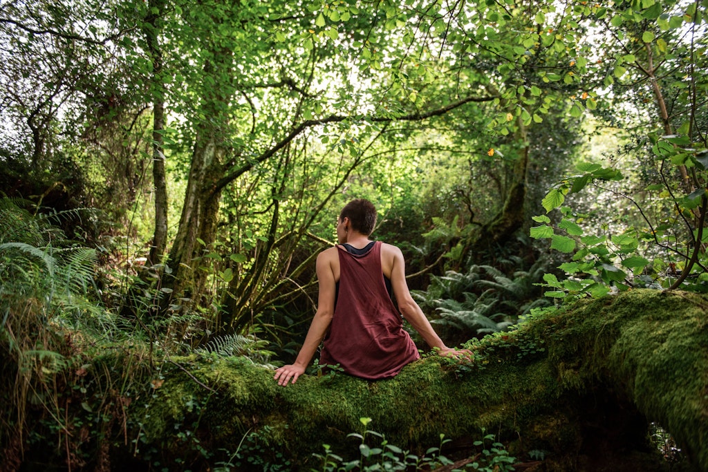 Angst vor der Natur: Die Biophobie greift weltweit um sich