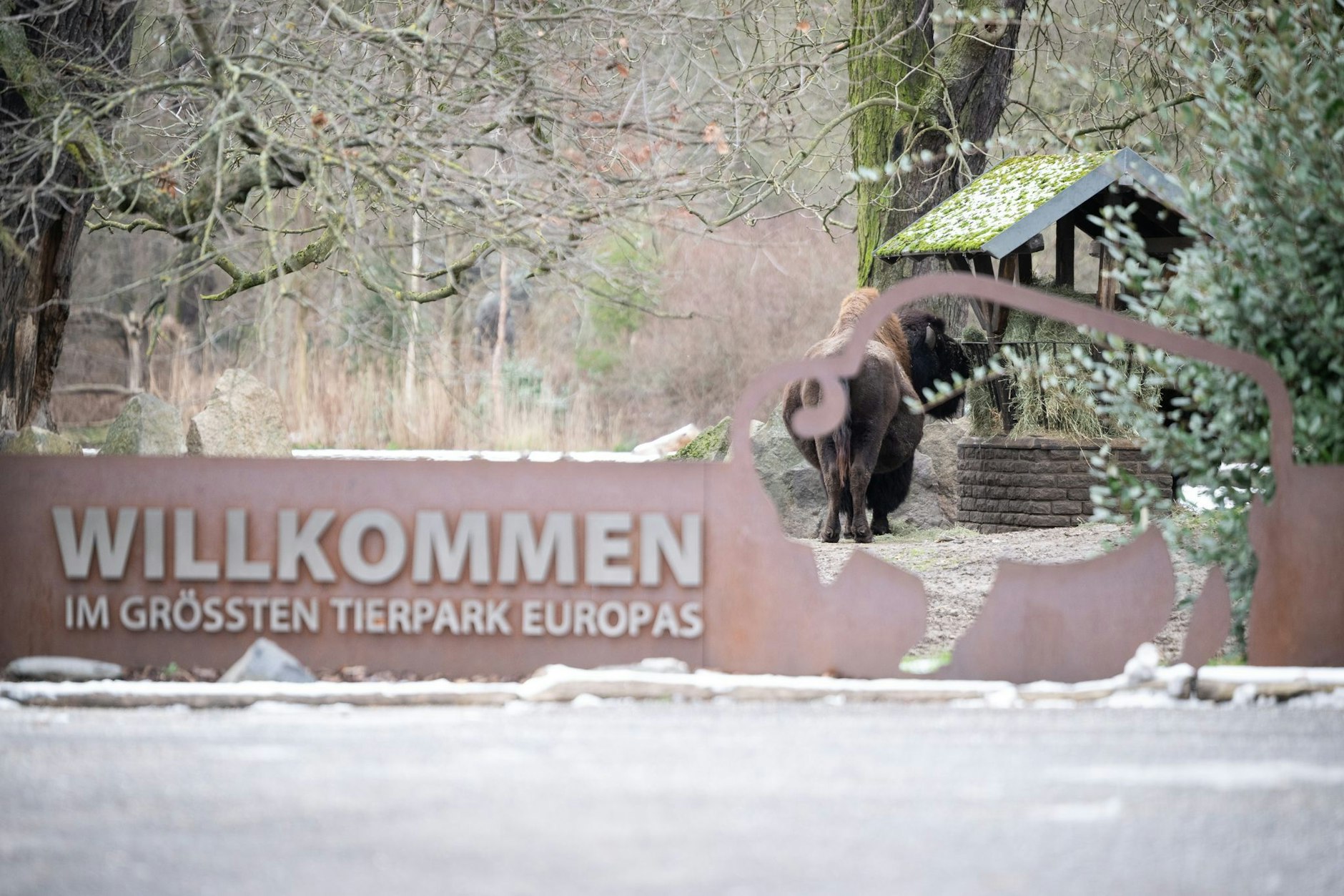 Nach einem Ausbruch der Maul- und Klauenseuche musste auch der Tierpark Berlin kurzzeitig schließen.