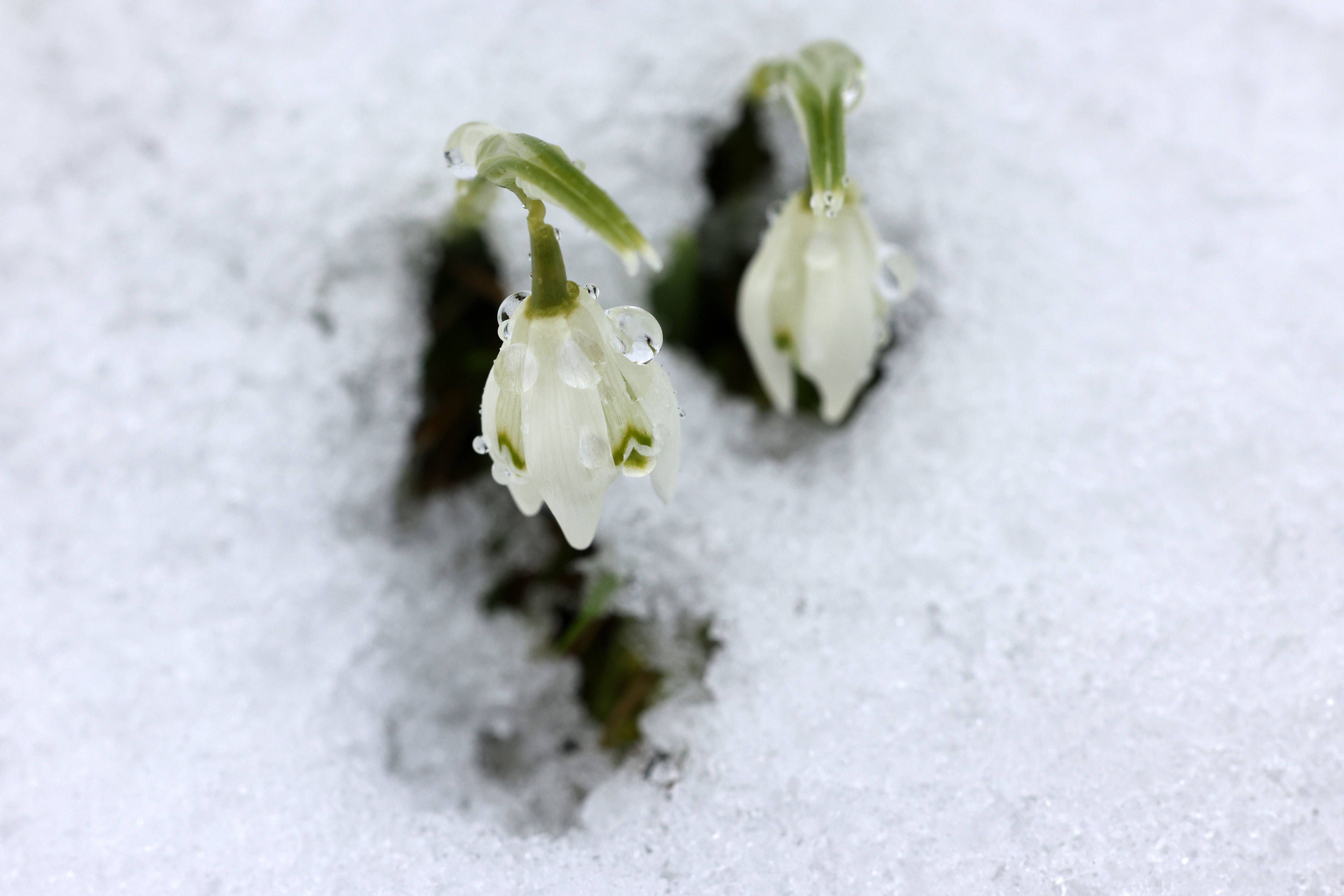 Wetterumschwung in Berlin: Jetzt endet die Kälte – das passiert mit Körper und Psyche