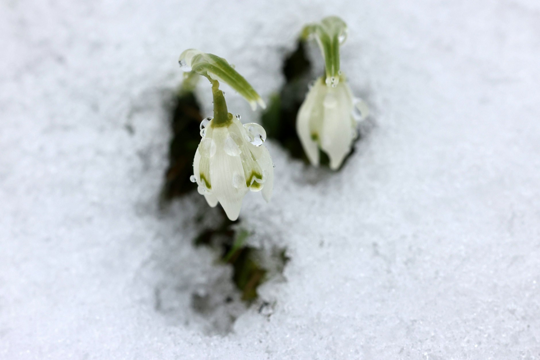 Der <a target="_blank" href="https://www.berliner-zeitung.de/topics/wetter-berlin">Wetterwechsel</a> wirkt sich zusammen mit den immer länger werdenden Tagen positiv auf Körper und Psyche aus.