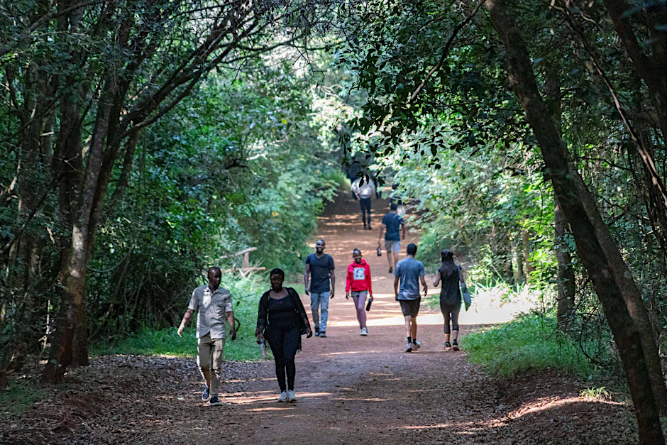 Fußgänger laufen durch den Karura-Wald in Nairobi, Kenia