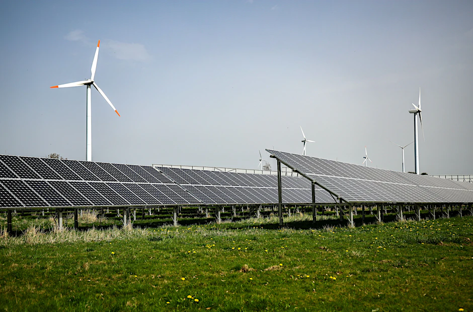 Grüne Euphorie im Angesicht des Scheiterns