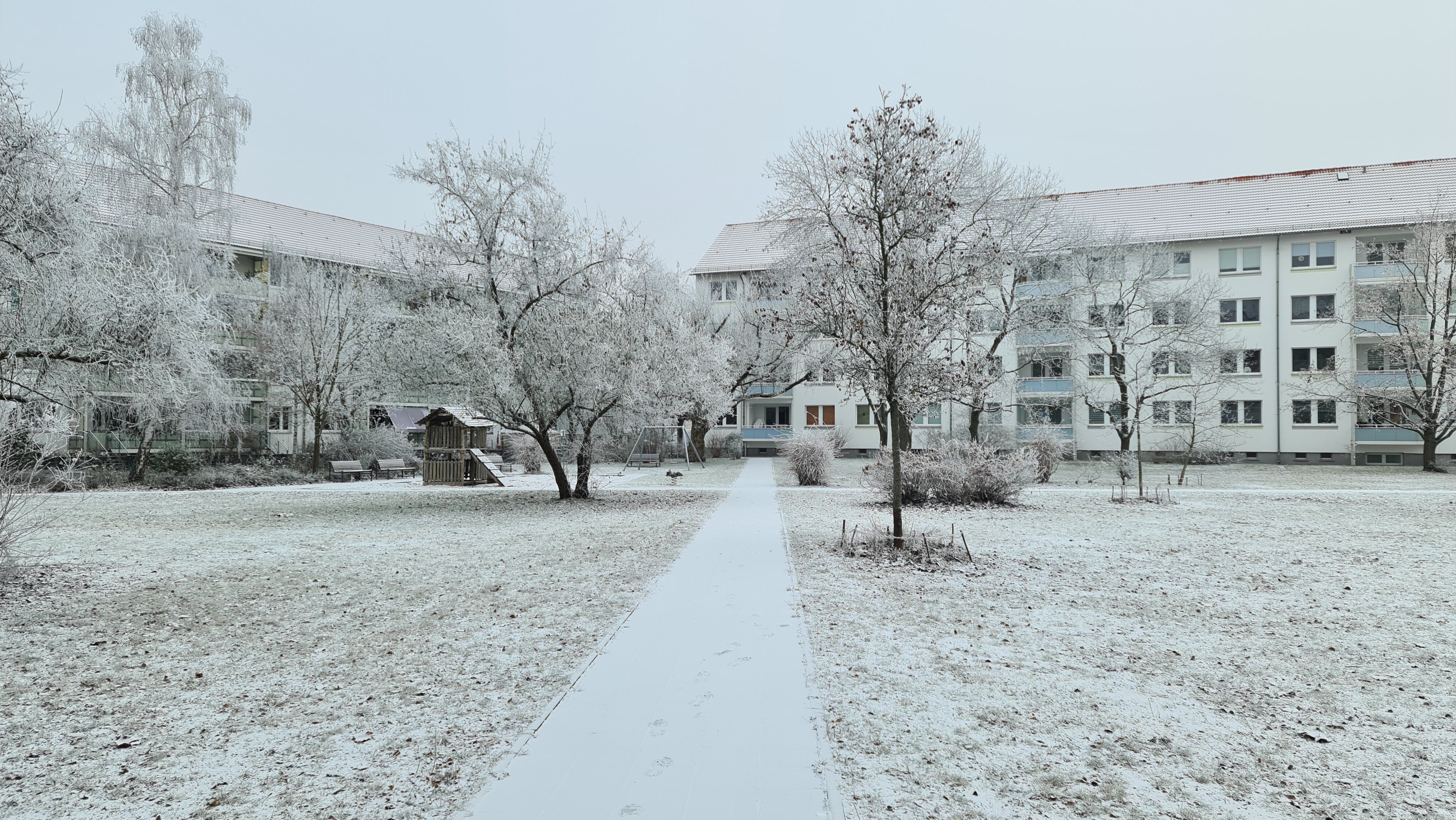 Wie in Pankow: Baumfällungen im Karlshorster Ilse-Kiez per Klage  gestoppt