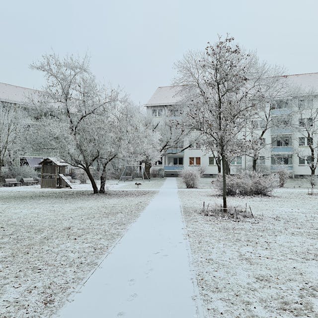 Wie in Pankow: Baumfällungen im Karlshorster Ilse-Kiez per Klage gestoppt