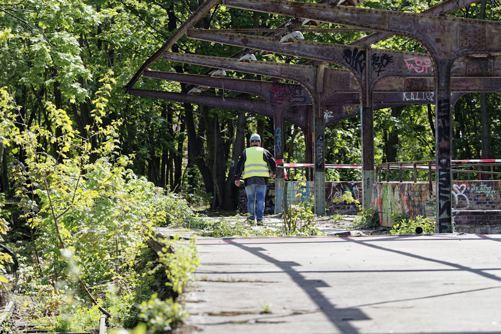 Hier fallen 35 Bäume für eine neue Stromtrasse