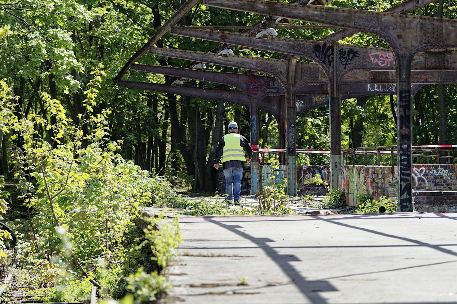 Hier fallen 35 Bäume für eine neue Stromtrasse