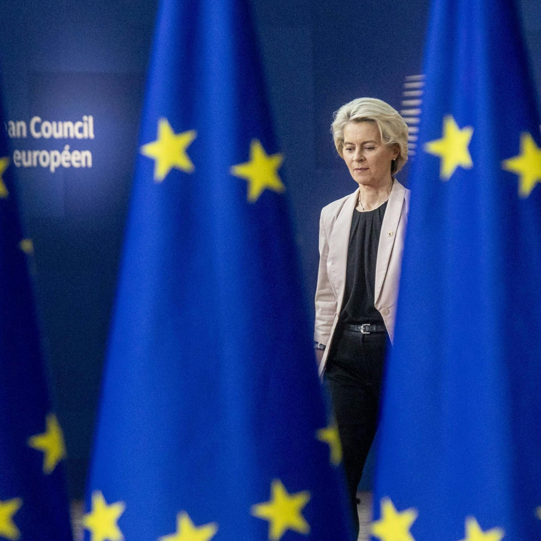 Image - Von-der-Leyen-Industrieplan in Gefahr: Protektionismus-Debatte spaltet EU