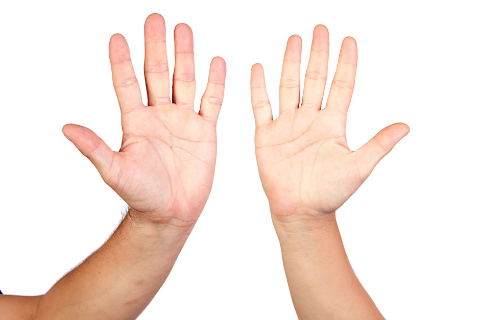 Die Fingerlänge könnte mehr über die menschliche Evolution verraten, als man denkt.