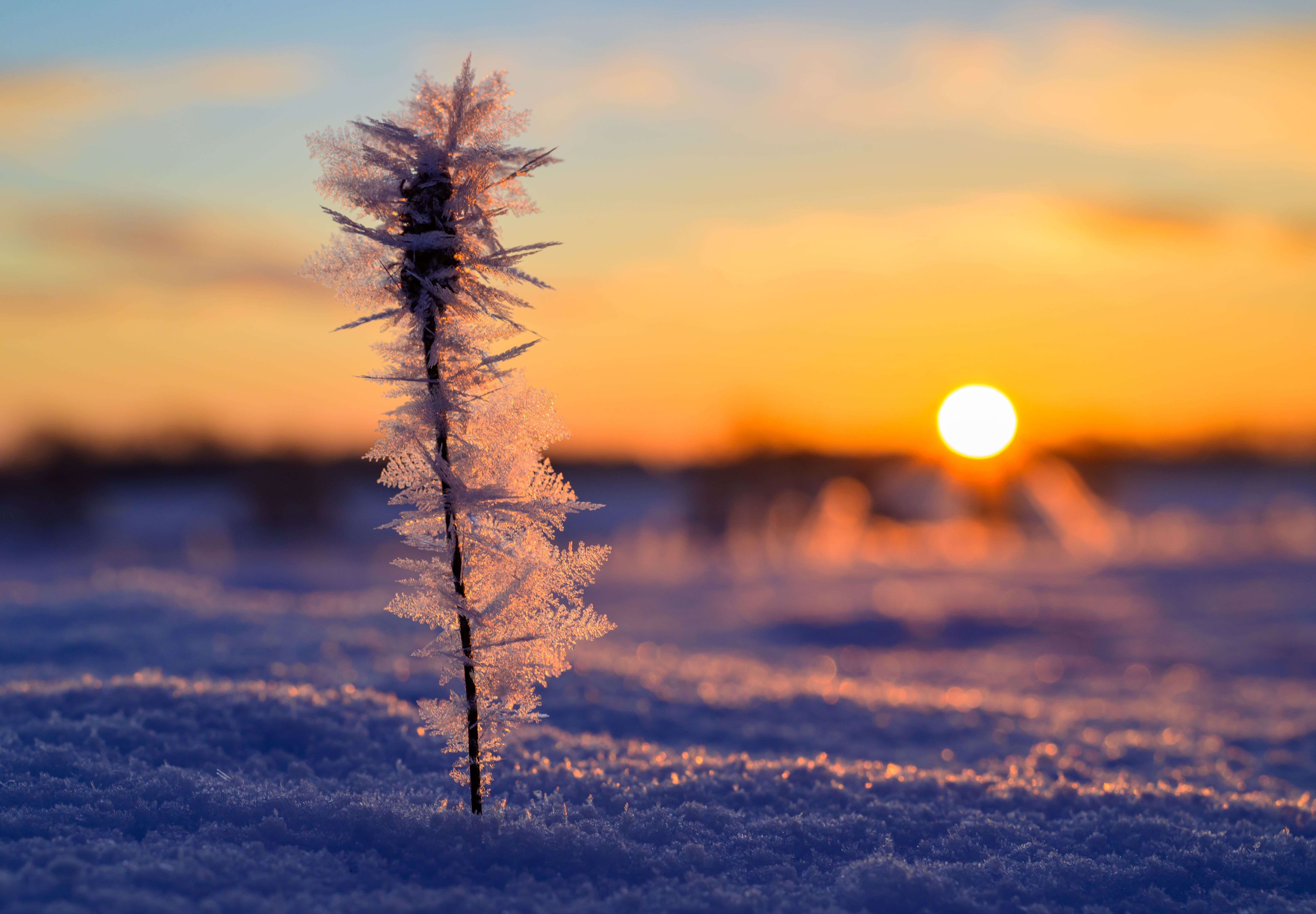 Image - Zickzack-Wetter in Deutschland: Warmluftvorstoß bringt milde Temperaturen