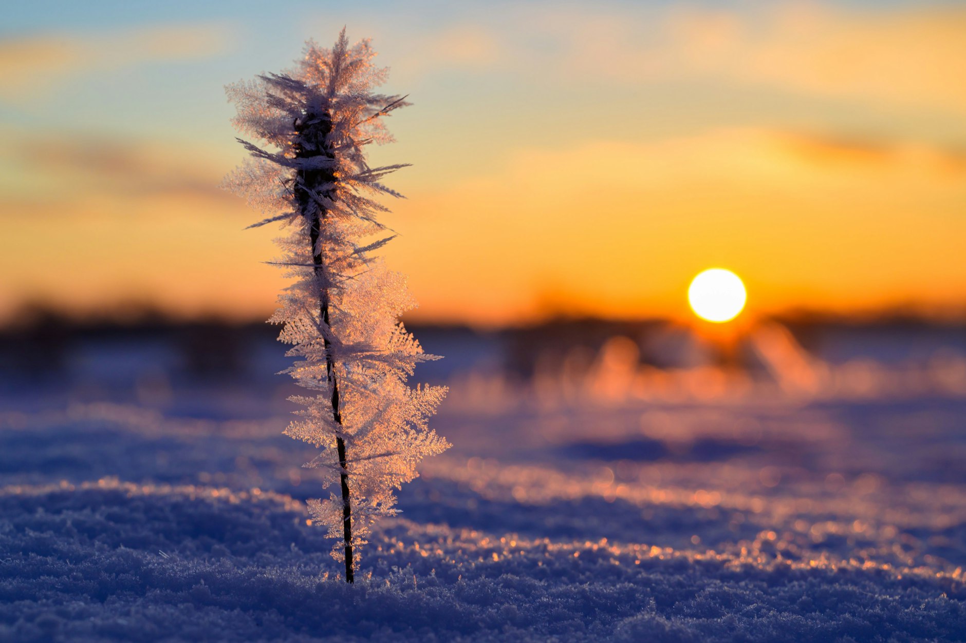 In den nächsten Tagen wird in Berlin und Brandenburg ein Wetterumschwung erwartet.