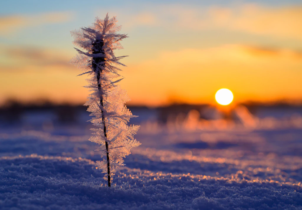 Zickzack-Wetter in Deutschland: Warmluftvorstoß bringt milde Temperaturen