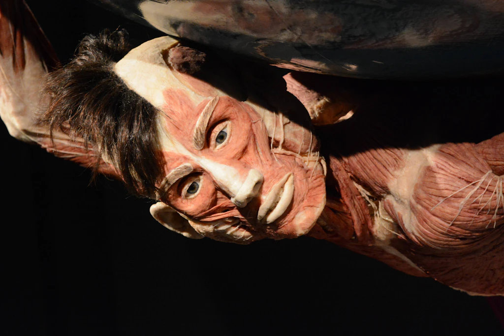 Ein Wunsch über den Tod hinaus: Mein Bruder wird als Plastinat weiterleben