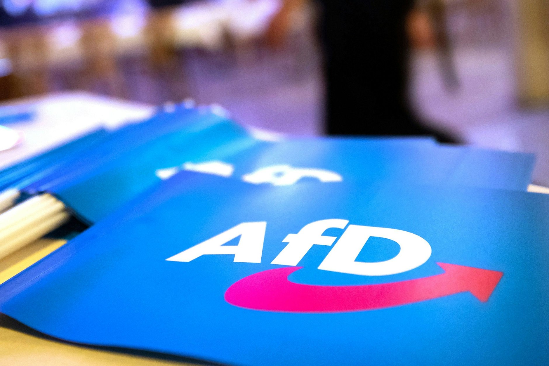 Umfrage sieht AfD in Mecklenburg-Vorpommern bei 37 Prozent