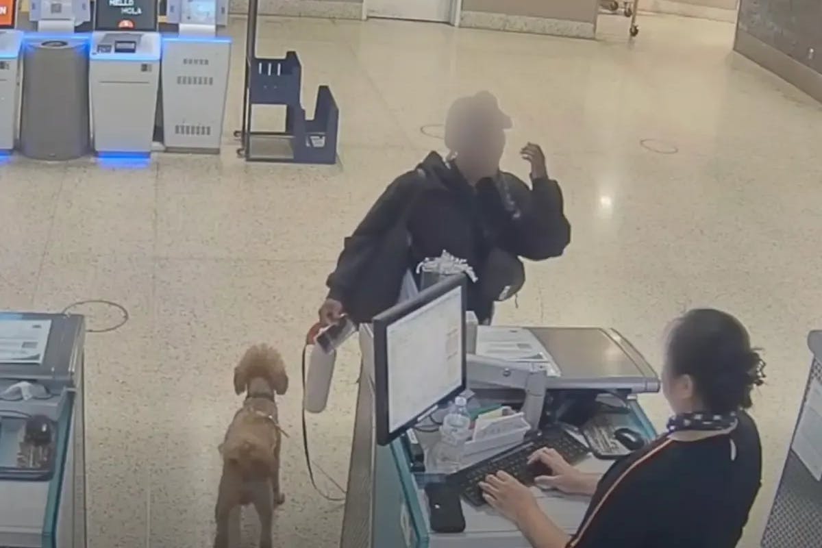 In der Abflughalle diskutiert die Hundebesitzerin mit der Angestellten, dann lässt sie das Tier zurück.