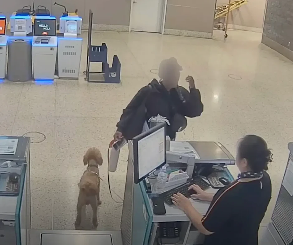 In der Abflughalle diskutiert die Hundebesitzerin mit der Angestellten, dann lässt sie das Tier zurück.