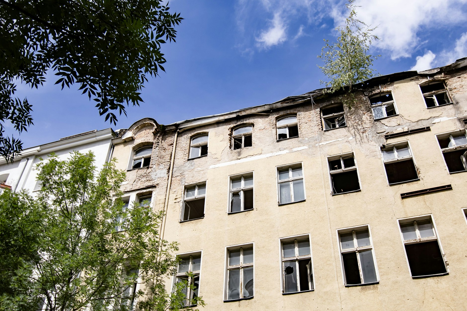Die Bauruine in der Burgsdorfstrasse 1 in Wedding. Bäume wuchsen aus dem Dach.