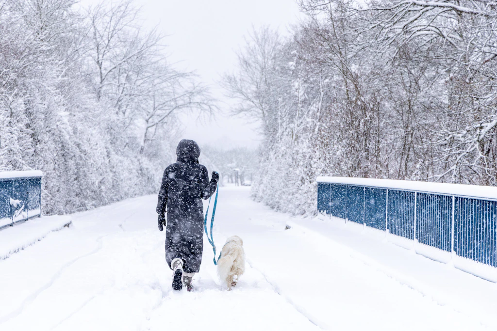 30 Zentimeter Schnee und Kälte – kommt der Winter im März zurück?